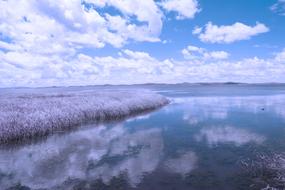 Lake Water