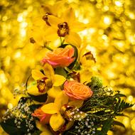 beautiful bouquet on a luminous background