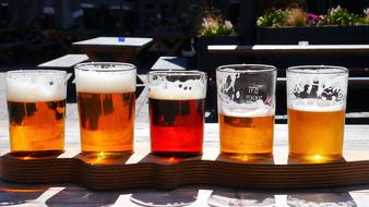 Beer Varieties Different Types Of