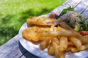 fried fish sticks