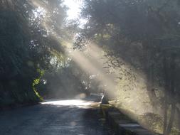 San Javier Route Road