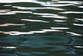 water surface green