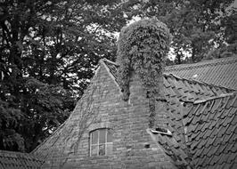 Old House Roof monochrome