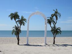 Wedding Beach Marry