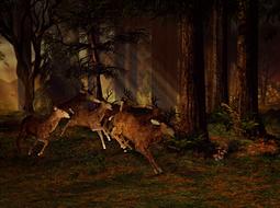 drawing of Deer running through forest