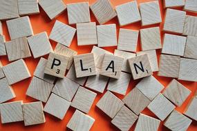 Plan Objective Strategy