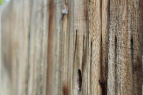 Wood Fence Background on a blurred background