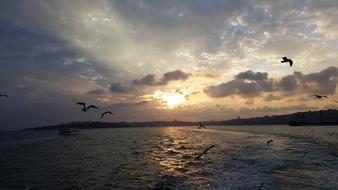 Sunset over Ocean
