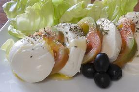 mozzarella with appetizers