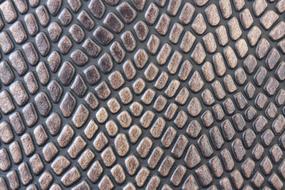 Skin Crocodile as a background