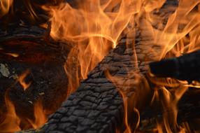 Fire Burn Campfire