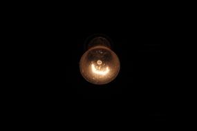Night Lightbulb The