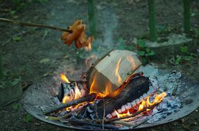 Meat Toasting macro blur nature