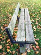Bench Leaves