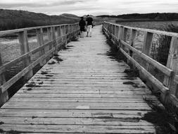 Bridge Black And White