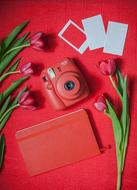 Polaroid Camera