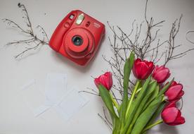 Polaroid lying on a table with tulips