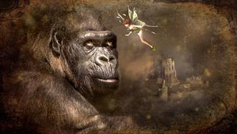 fairy tales elf gorilla composing