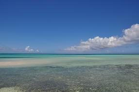 great view of the sea by the beach