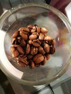 Coffee Beans Beauty
