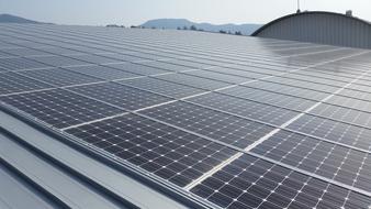 Solar Renewable