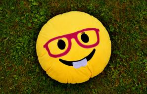 smiley face pillow on green grass