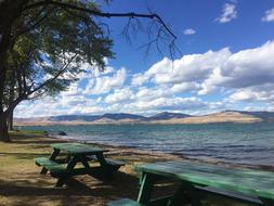 Flathead Lake Summer Picnic