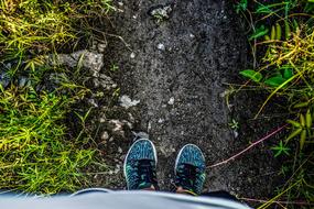 Shoes Nike Vung