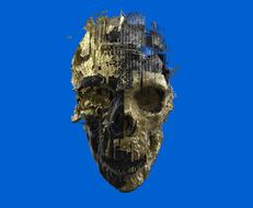 Skeleton Skull 3D