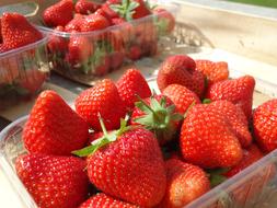 delicious strawberries in a container
