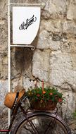 bicycle with flowers by the house