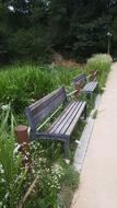 Bench Chair Roadside