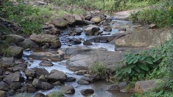 river with rocks in the woods