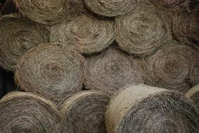 Hay Round Ball