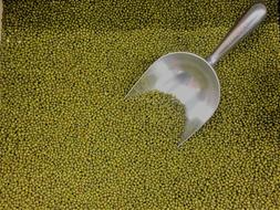 Moong Beans Green Dry