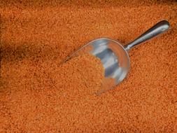Orange Lentils Vegetarian