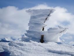 frozen sail in the snow