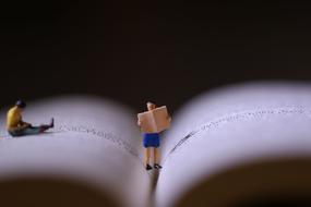 Book Miniature