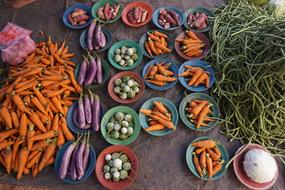 ripe harvest of vegetables in plates
