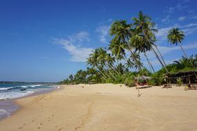Tropical Sand Beach in sri lanka
