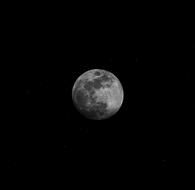Moon Night The
