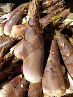 Nc Bamboo Shoot Edible Vegetarian