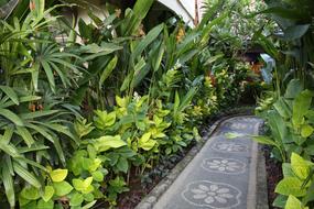 road with patterns in the garden