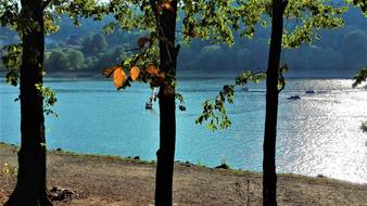 sun illuminating the lake among the trees