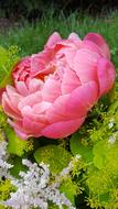 Peony Decorative Flower