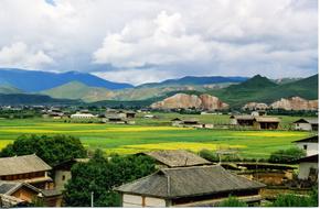 green field in the village
