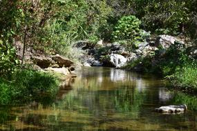 River Brook