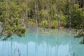 Blue Pond