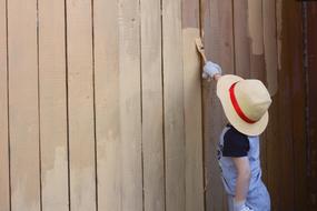 child Boy painting wooden wall