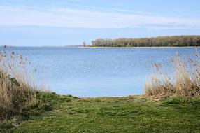 beautiful lake with reeds